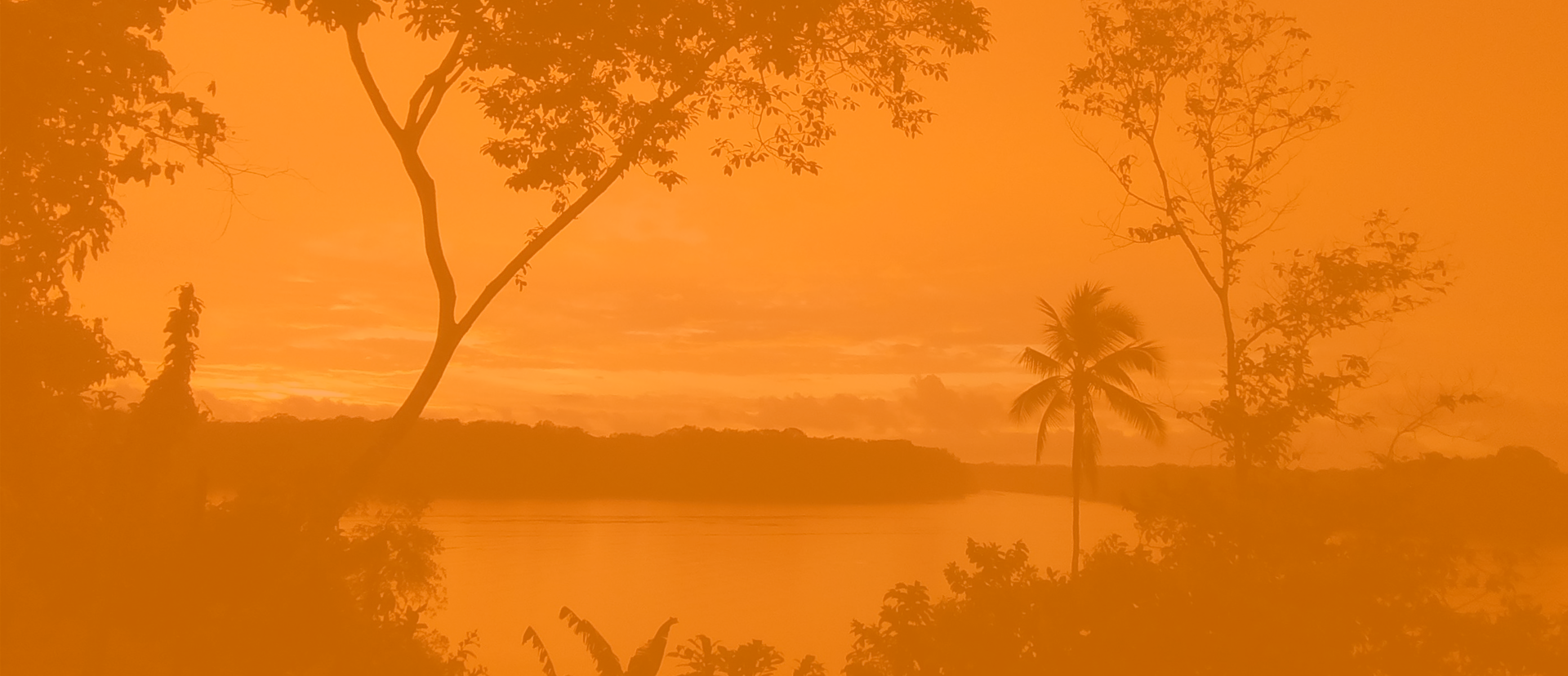 parallax background